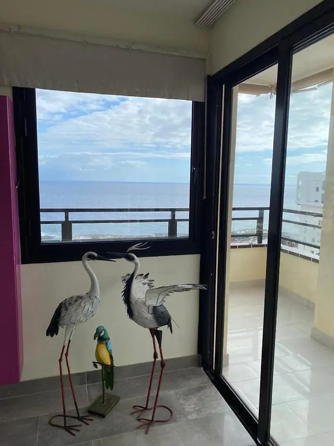 Apartment Paraiso125 Playa Paraiso